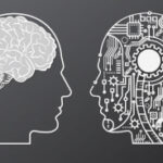 How Does the Human Brain Compare to a Computer?