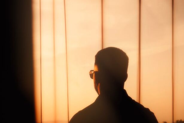 person looking out at a landscape or sunset