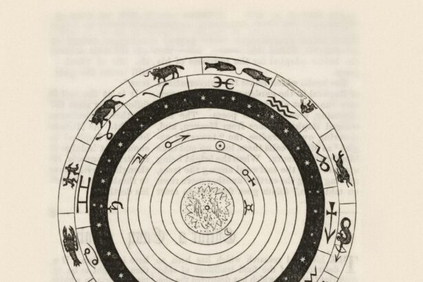 chinese zodiac wheel illustration